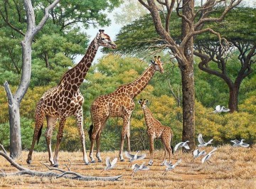 giraffe herd and birds
